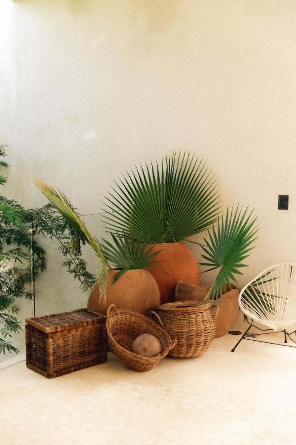 Hotel 16Tulum Extérieur photo